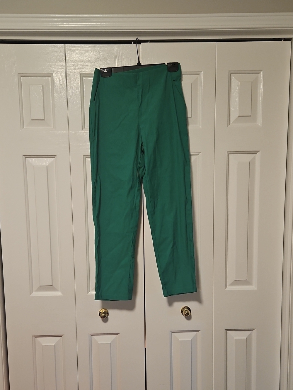 Women's Green Slim Stretch Ankle Pants Worn Once